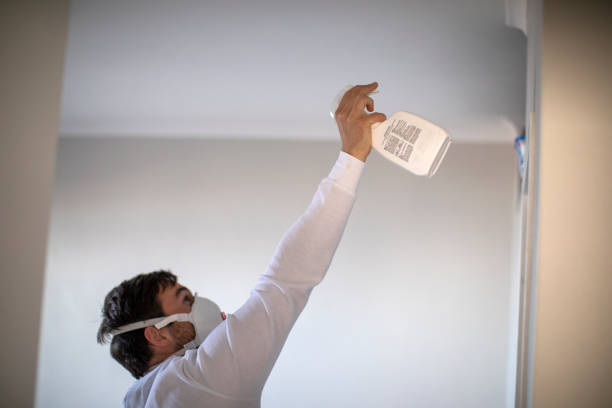 Mold Removal Process in Marlow Heights, MD