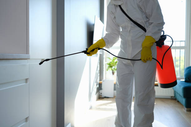 Best Fast Mold Removal  in Marlow Heights, MD