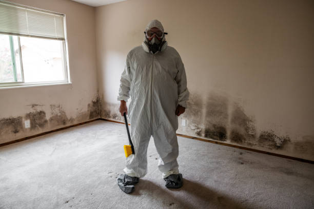 Best Mold Cleaning Services  in Marlow Heights, MD